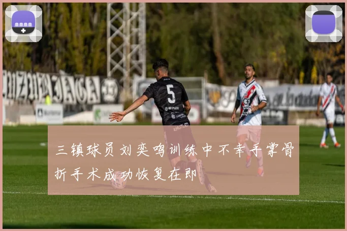 三镇球员刘奕鸣训练中不幸手掌骨折手术成功恢复在即